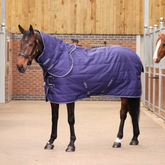 Horse wearing a navy quilted rug in an indoor stable.